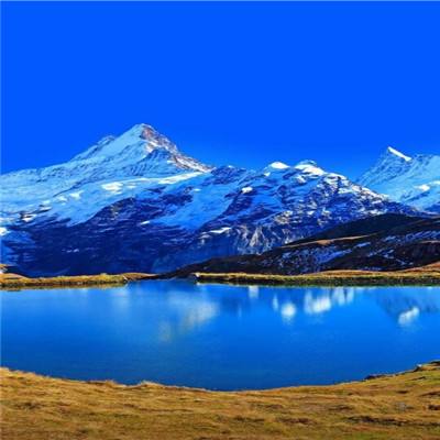 彩神下载手机版