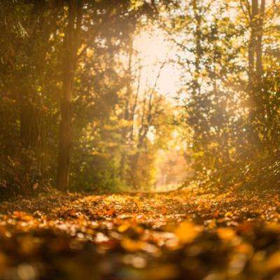 NG体育·(南宫)官方网站